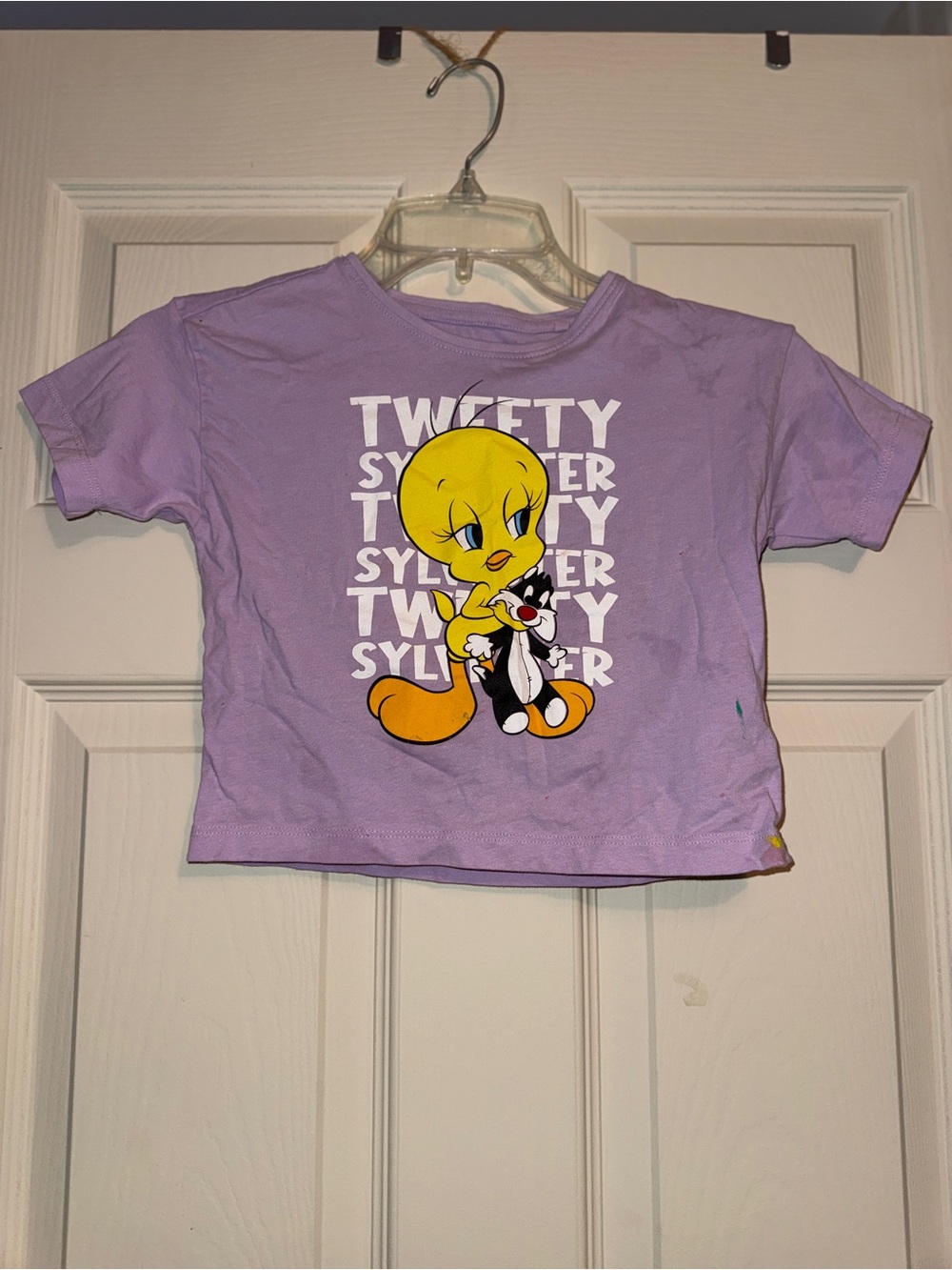 Warner Bros. Purple Tweety & Sylvester Graphic Tee